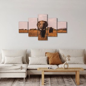Obraz - Przybycie słonia (125x70 cm)