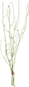 Gałązka Leszczyny 50cm light green