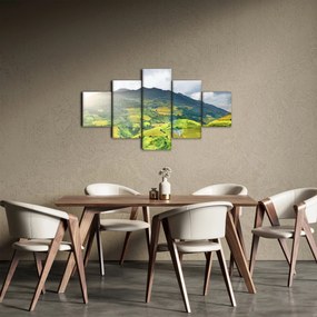 Obraz plantacji (125x70 cm)