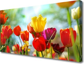 Obraz na płótnie Klasyczna Elegancja Kwiatów