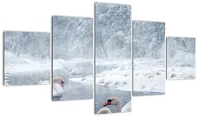 Obraz łabędzi (125x70 cm)