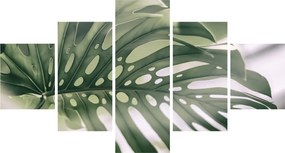Obraz - Lista potworów (125x70 cm)