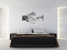 Obraz - Mlecz (125x70 cm)