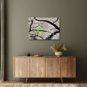 Obraz - Pęknięcia (70x50 cm)