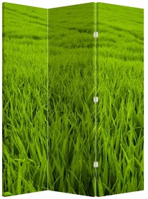 Parawan - Trawa (126x170 cm)