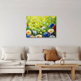 Obraz kwitnącej łąki, obraz olejny (70x50 cm)