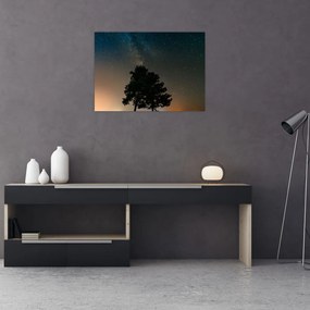 Obraz na szkle - nocne niebo z drzewami (70x50 cm)