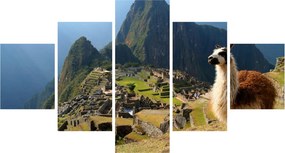 Obraz - Lama i Machu Picchu (125x70 cm)
