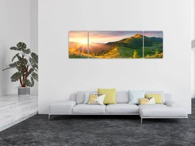 Obraz - Letni krajobraz (170x50 cm)