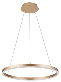 Palnas 62004594 - Żyrandol na lince DONA LED/62W/230V śr. 80 cm