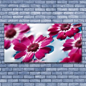 Duży obraz na płótnie Rosa na Puszystym Dmuchawcu