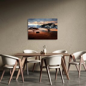 Obraz na szkle - Park Narodowy Serengeti, Tanzania, Afryka (70x50 cm)