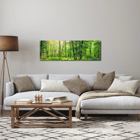 Obraz - Wiosenny las liściasty (z zegarem) (90x30 cm)