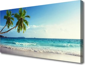 Obraz drukowany na płótnie Tropikalna Palma na Wybrzeżu