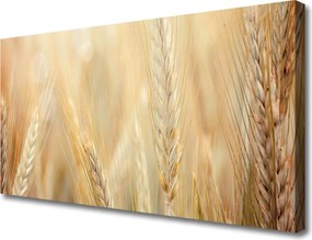 Obraz canvas Łany Złotej Pszenicy