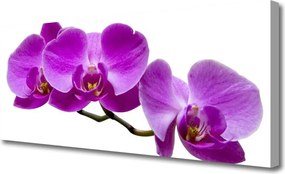 Fotoobraz na płótnie Romantyczny Akcent Roślinny