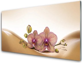 Panel Kuchenny Drzewa W Porannym Słońcu