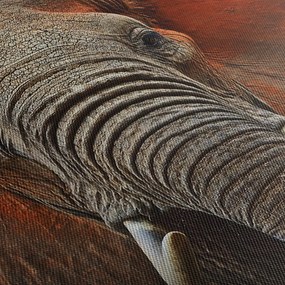 Obraz - Słonie z Tsavo (70x50 cm)
