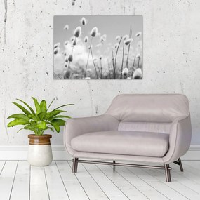 Obraz na szkle - Trawa z ogonkiem króliczka Boho (70x50 cm)