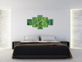 Obraz kropli rosy (125x70 cm)