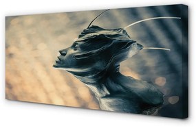 Zdjęcie na płótnie Głowa Postaci