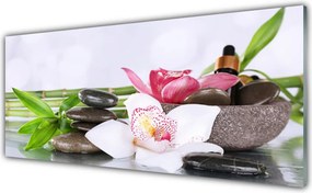 Panel Szklany Egzotyczna Harmonia Roślin