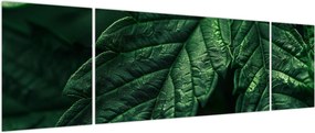 Obraz - Szczegół arkusza (170x50 cm)