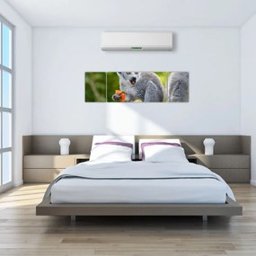 Obraz lemura (170x50 cm)