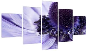 Obraz - Fioletowy kwiat (125x70 cm)