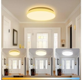 Brilagi - Lampa sufitowa LED MILKY WAY, 24W, 230V, 3000/4000/6500K, średnica 38 cm