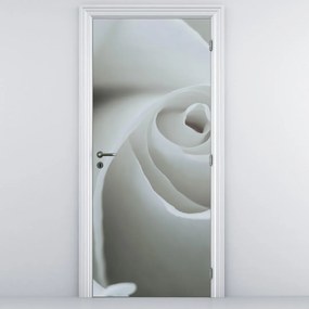 Fototapeta na drzwi - Biała róża (95x205cm)