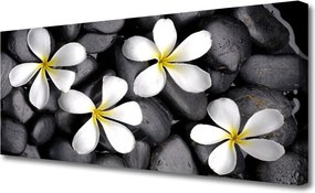 Obraz na płótnie Pastelowe Kwiaty w Rozkwicie