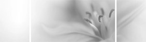 Obraz - Delikatna lilia (170x50 cm)