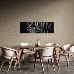 Obraz zebry (z zegarem) (90x30 cm)