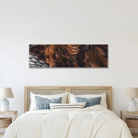 Obraz leżących psów (170x50 cm)