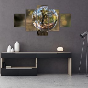 Obraz - Odbicie w szklanej kuli (125x70 cm)