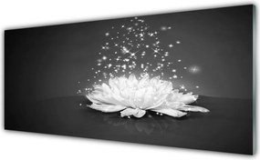 Panel Kuchenny Piękno Polnego Kwiatu