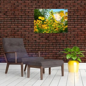 Obraz żółtych kwiatów (70x50 cm)