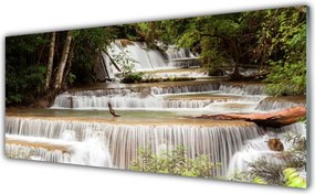 Panel Szklany Ukryty Wodospad W Gęstwinie Lasu