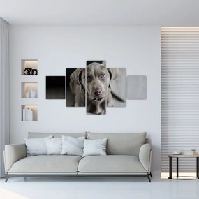 Obraz szczeniaka (125x70 cm)