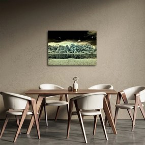 Obraz akwenu wodnego (70x50 cm)