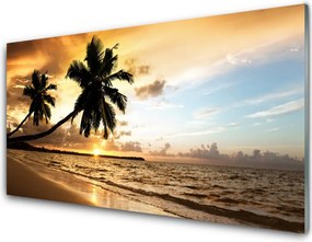 Panel Szklany do Kuchni Tropikalne Wybrzeże z Palmą