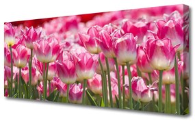 Obraz Canvas Tulipany Kwiaty Natura