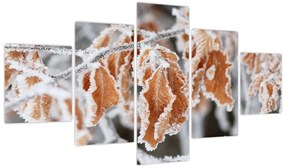 Obraz - Zamarznięte liście (125x70 cm)