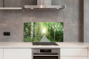 Szklany Panel Droga przez Las Brzozowy