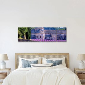 Obraz - Lewandowe pole (170x50 cm)