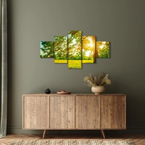Obraz - Słoneczny Las (125x70 cm)