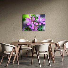 Zbliżenie kwiatu (70x50 cm)