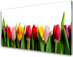 Panel nad blat kuchenny Pąki Tulipanów W Ogrodzie