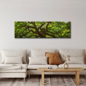 Obraz - Zielone drzewo (170x50 cm)